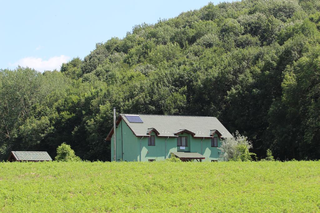 Agropensiunea Cetatuia Luncavita Exterior photo